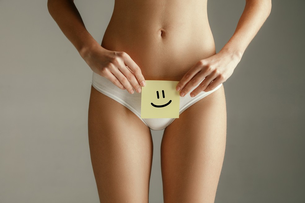 É normal que vulvas tenham todas as formas e tamanhos — Foto: master1305/freepik