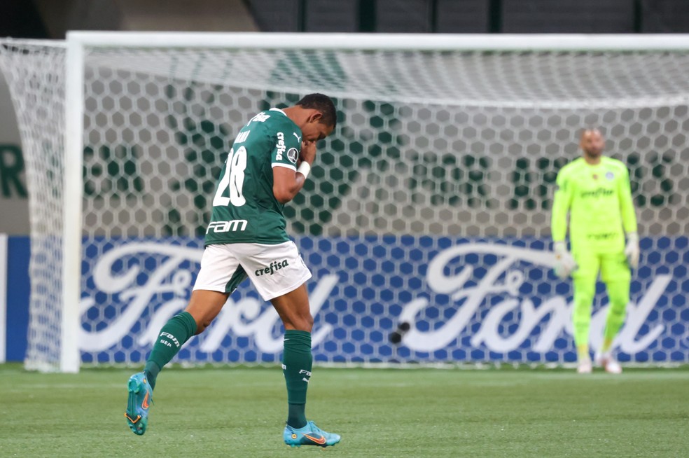 Danilo marca no terceiro jogo seguido pelo Palmeiras — Foto: Marcello Zambrana/AGIF