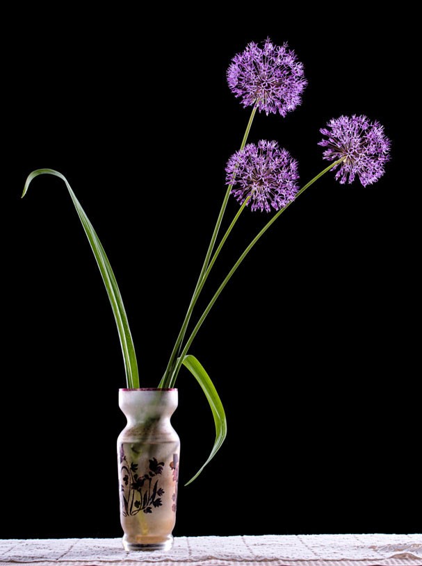 Flores para ter em casa (Foto: Getty Images)