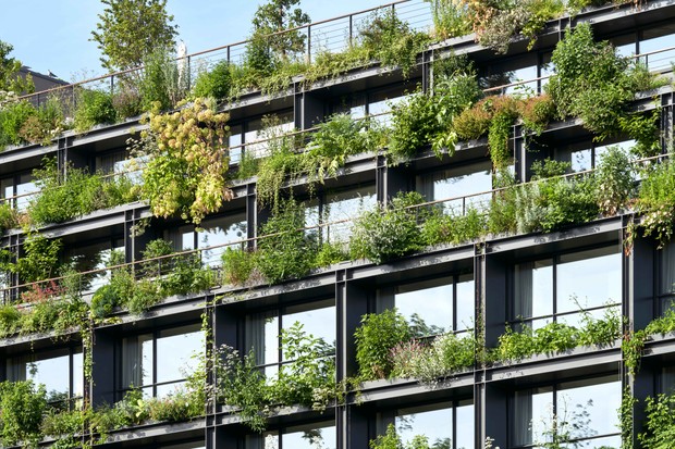 edificio de fachada verde