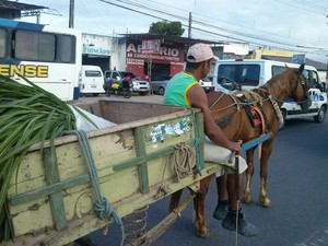 O carroceiro Valdemar circula com a carroça pelas vias de Maceió, mas destaca que o veículo é regularizado. (Foto: Rivângela Gomes/G1)
