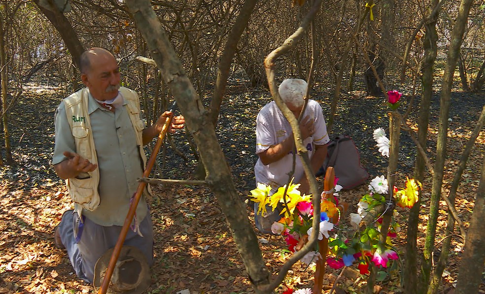 Em meio à vegetação destruída pelo fogo, fiéis se reúnem em altar e rezam em Cajuru — Foto: Chico Escolano/EPTV