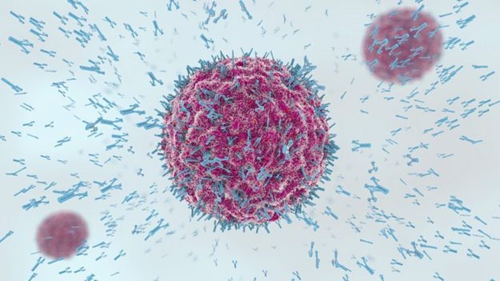 Anticorpos são essenciais no combate às infecções — Foto: CHRISTOPHER BURG TEDT-SCIENCEPHOTOLIBRARY/BBC