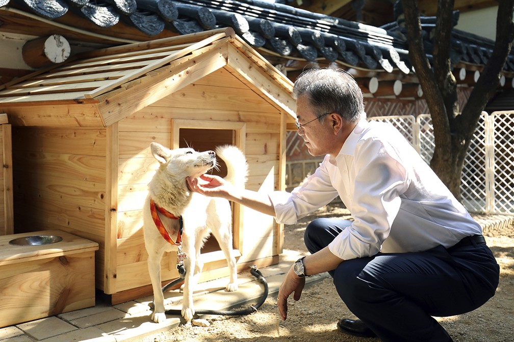 Moon Jae-in, ex-presidente da Coreia do Sul, brinca com a cachorra Gomi, uma das que foram oferecidos pela Coreia do Norte, em foto de outubro de 2018 — Foto: South Korea Presidential Blue House via AP