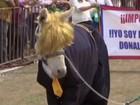 Burros são fantasiados de Donald Trump em evento no México