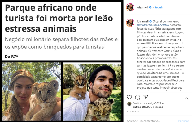 Luisa Mell faz post criticando Grazi Massafera e Caio Castro (Foto: Reprodução Instagram)