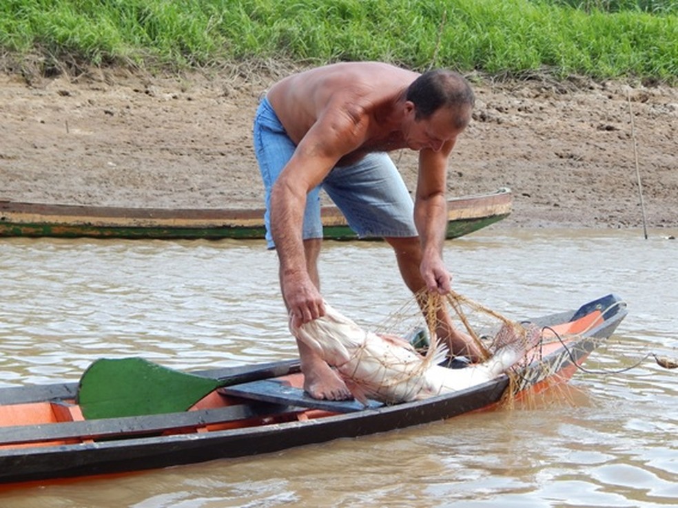 Pesca na região do Tapará, em Santarém — Foto: Fábio Sarmento