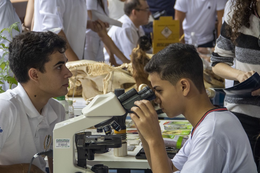 Escola realiza mostra de profissões em Governador Valadares — Foto: Colégio Ibituruna/Divulgação 