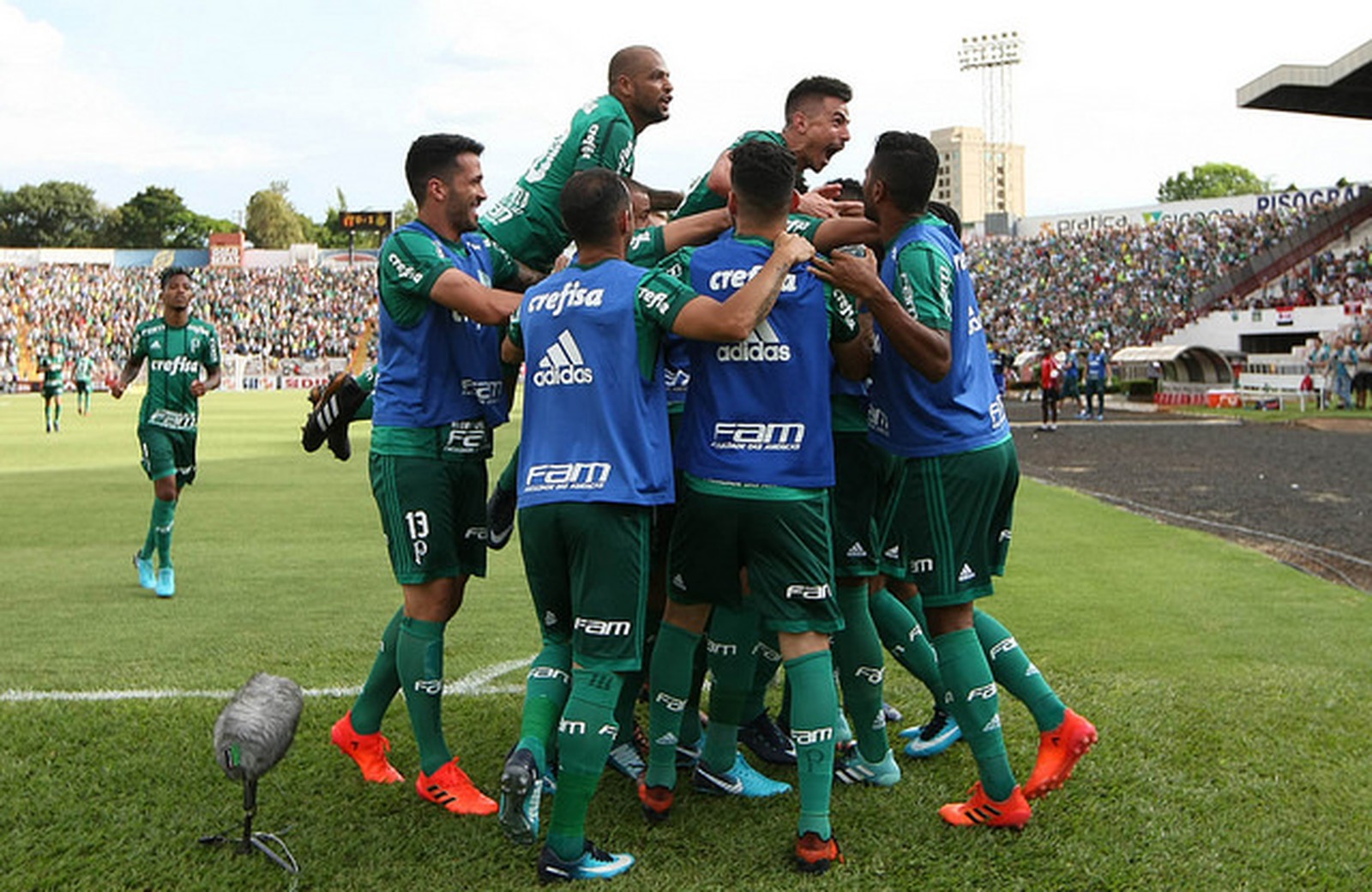 Palmeiras dosa parte física e começa a mostrar padrão de jogo
