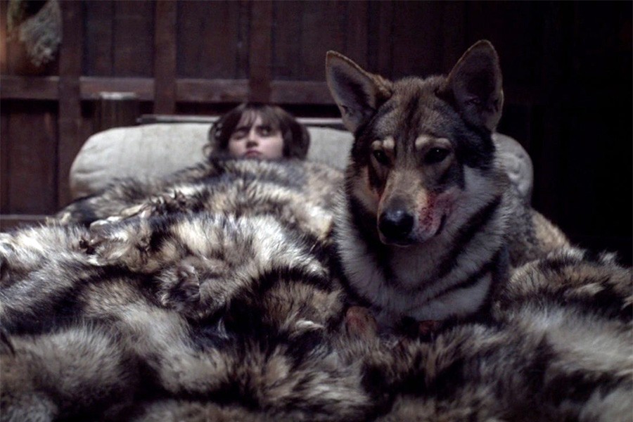 Quando criança, Bran esteve acamado por conta de um coma e, como companhia seu cachorro-lobo,chamado de Summer, ficava sempre ao seu lado(Foto: Reprodução retirada de um episódio de Game of Thrones)
