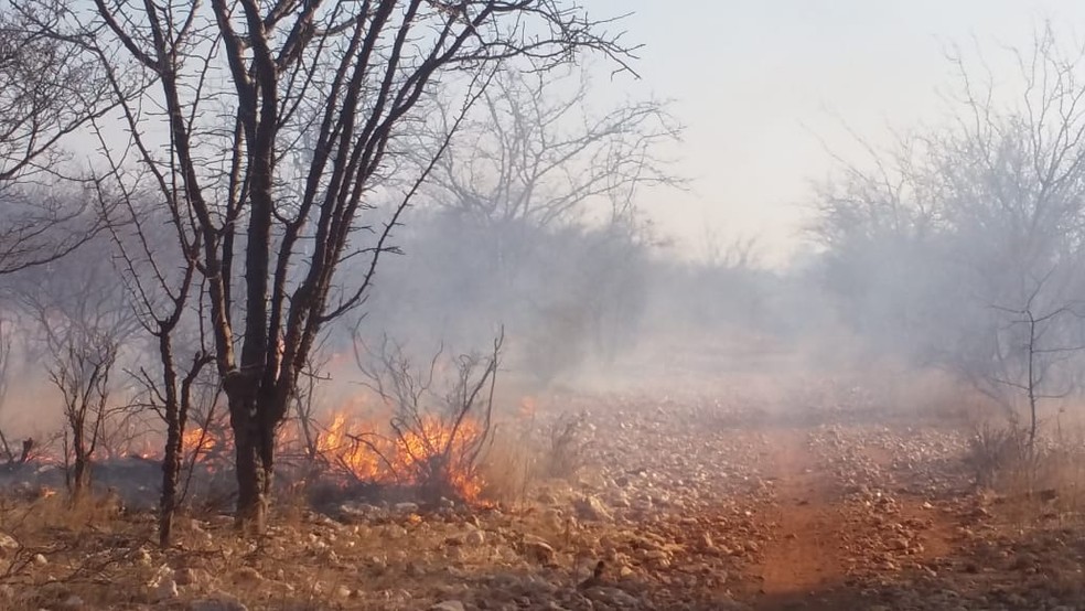 Incêndio destrói vegetação em Sento Sé, norte da Bahia — Foto: Grupo de Brigada Força e Resgate de Sento Sé