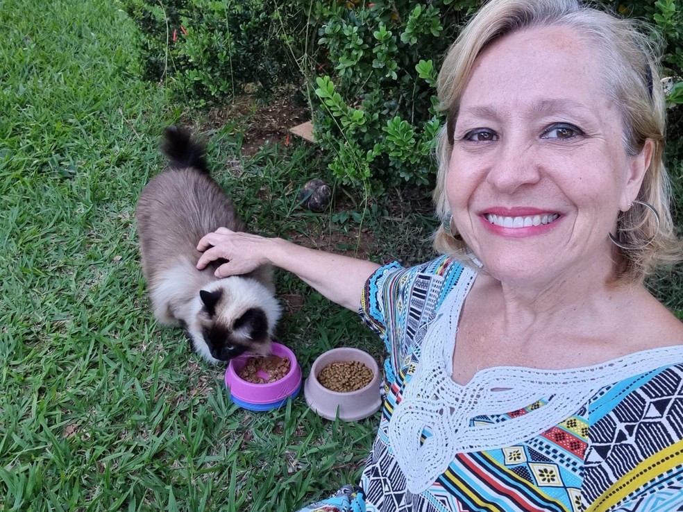Vanessa Conterato com um dos 12 gatos que adotou  — Foto: Arquivo pessoal