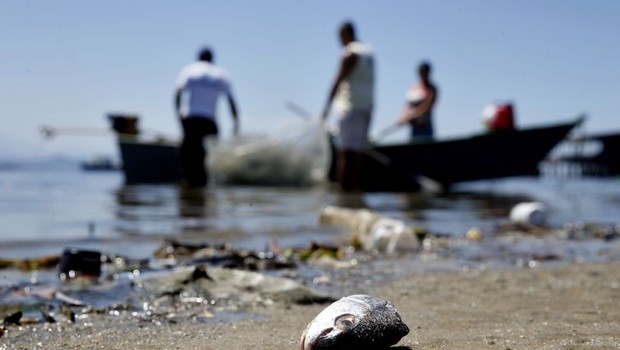 Mesmo poluída, Baía de Guanabara é fonte de renda para milhares de pescadores (Foto: Arquivo/Tânia Rêgo/Agência Brasil)