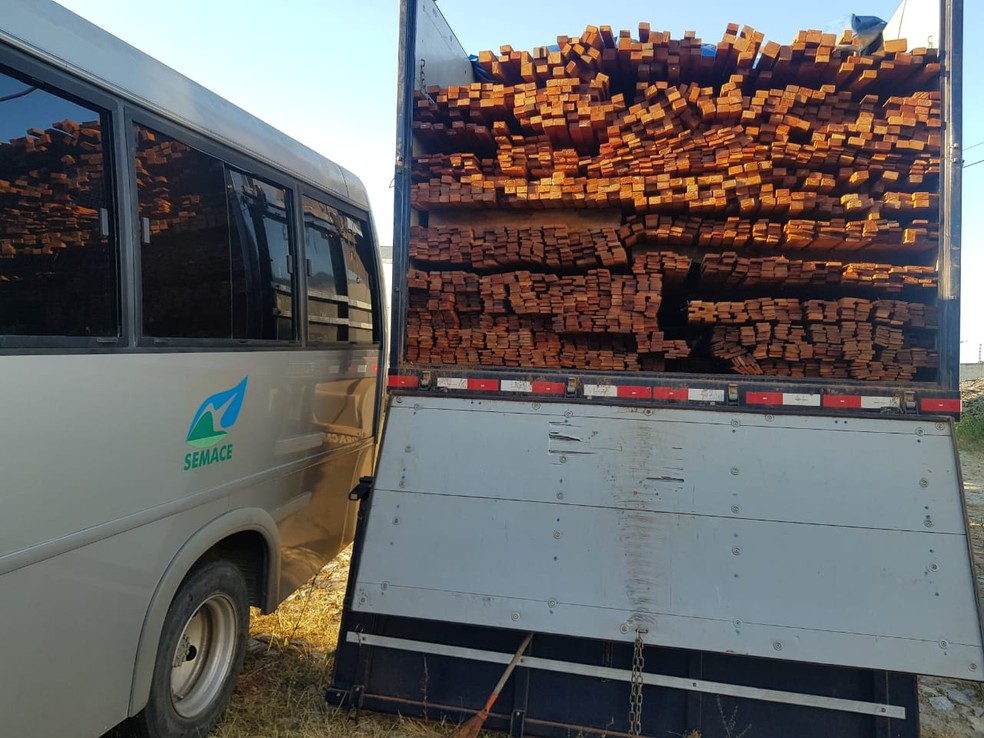 A madeira estava serrada, em formado de ripas e vigas dentro do caminhão — Foto: Divulgação/Semace