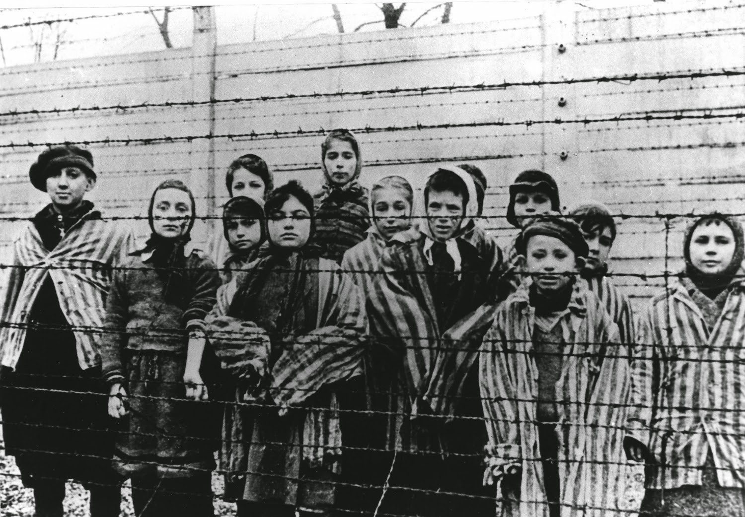 Em apenas três meses, 1,32 milhão de pessoas morreram no Holocausto -  Revista Galileu | História