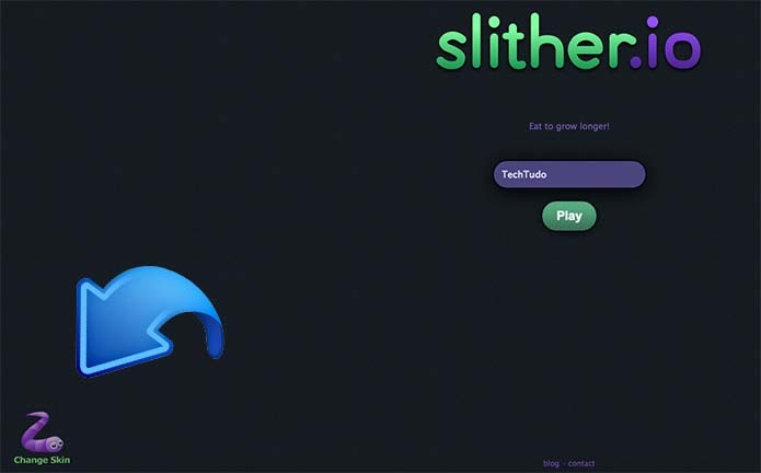 Clique na opção Change Skin no menu do Slither.io (Foto: Reprodução/Murilo Molina)