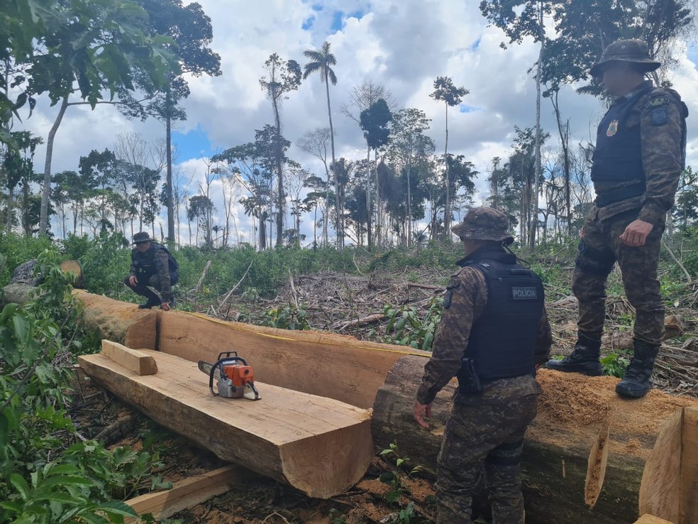 Polícia Ambiental fez uma nova operação na Floresta Estadual do Antimary — Foto: Arquivo/BPA