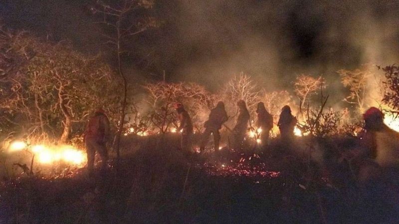 BBC - Bombeiros apagam incêndio na Caatinga no Ceará (Foto: SSPDS-CE)