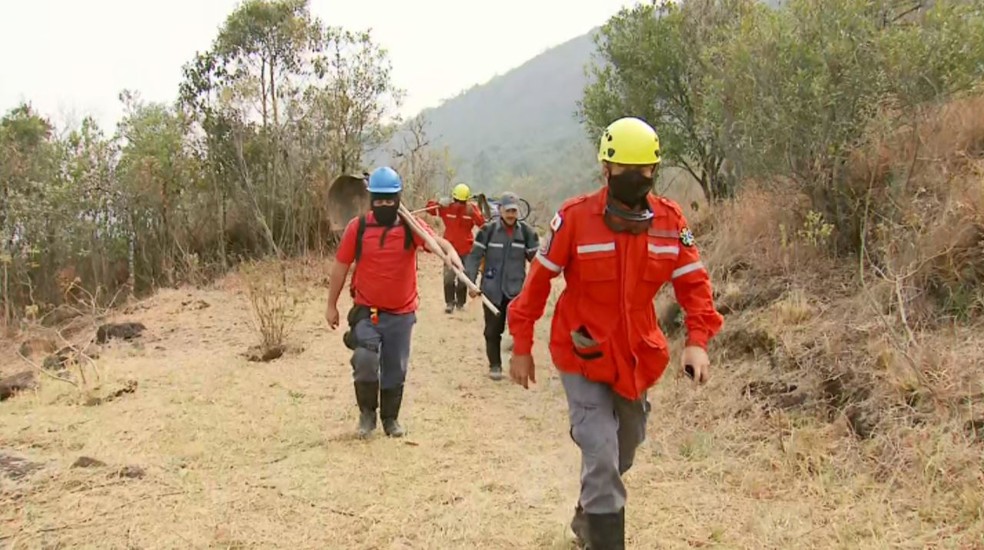 Cerca de 20 bombeiros participam de combate às chamas em Andradas (MG) — Foto: Erlei Peixoto