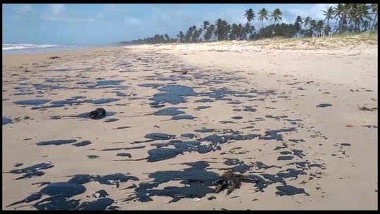 Tamar diz que manchas de óleo que atingem Nordeste chegaram à Bahia