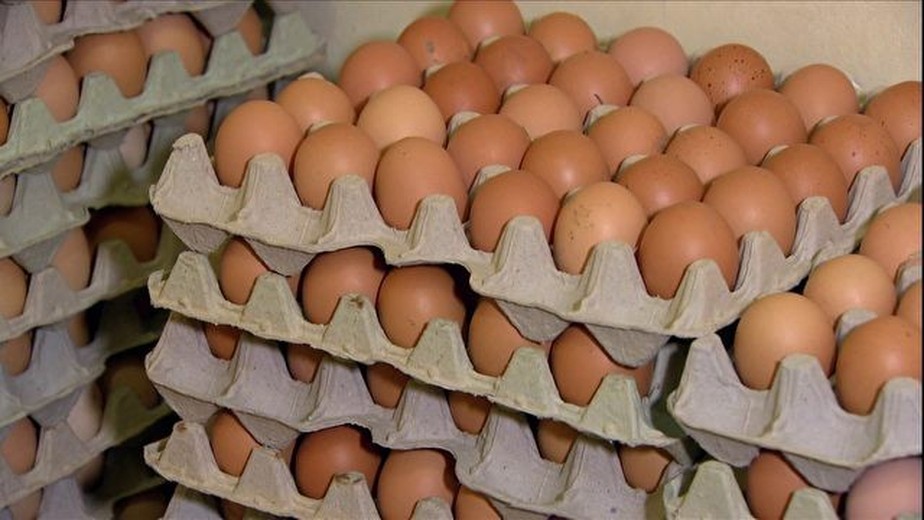 Mudança de hábito do consumidor e mais evidência das propriedades nutricionais reforçaram consumo de ovo