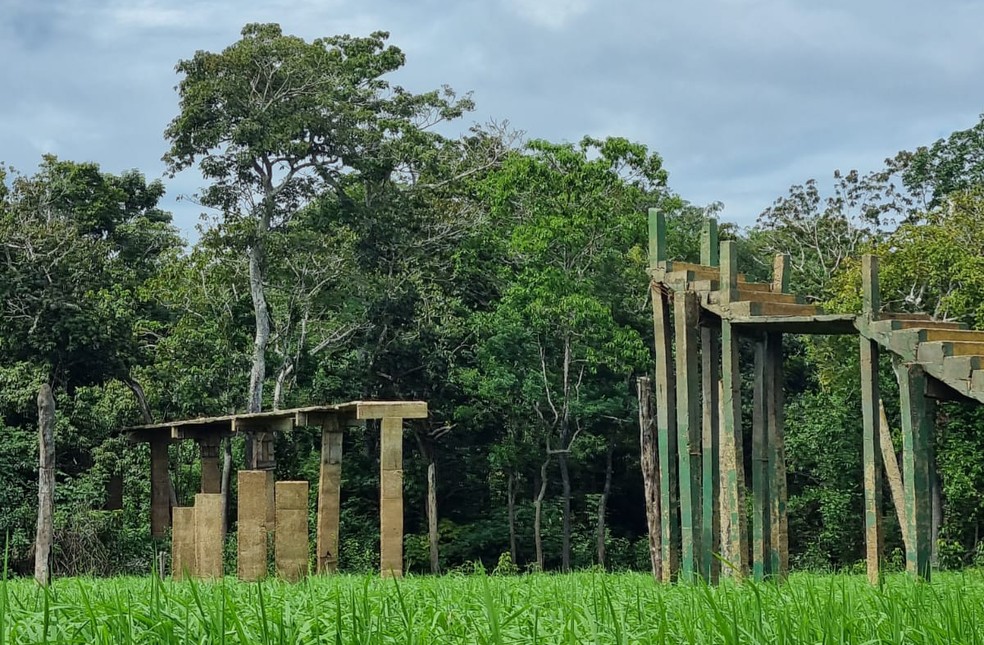 Passeio pelo que resta da estrutura do Ariaú Amazon Towers é parte de roteiro de hotel de selva. — Foto: Luana Santos