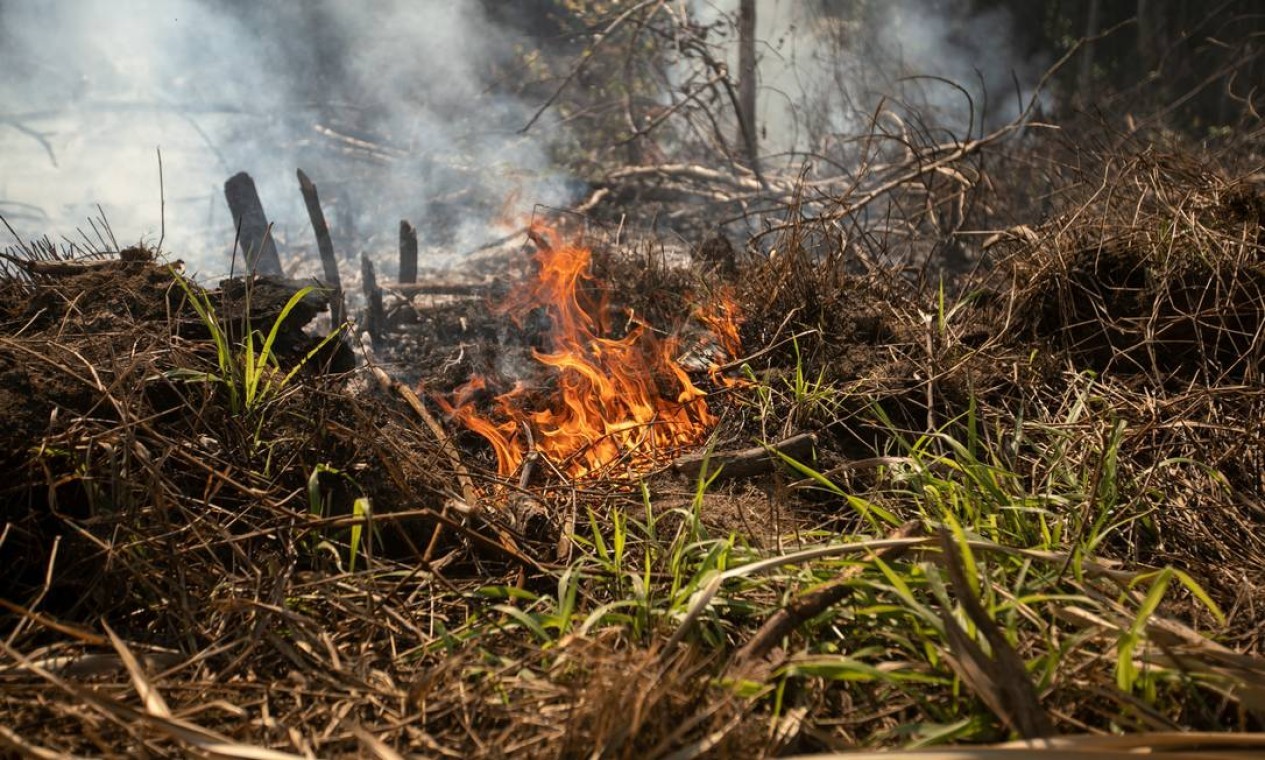 Floresta Nacional de Jacundá em Rondônia, próximo a Porto Velho, tem um assentamento em crescimento. Na foto: Eles colocam fogo para abrir espaço para as casas e local para agricultura — Foto: Brenno Carvalho / Agência O Globo