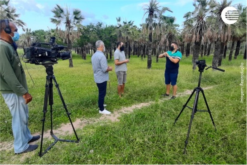 Equipe da Rede Clube conversou com diversos especialistas e pesquisadores para entender o que acontece em Várzea Queimada — Foto: TV Clube