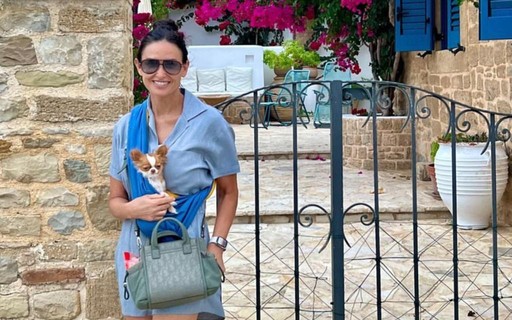 Demi Moore carrega cachorrinho em sling: "Companheira de viagem"