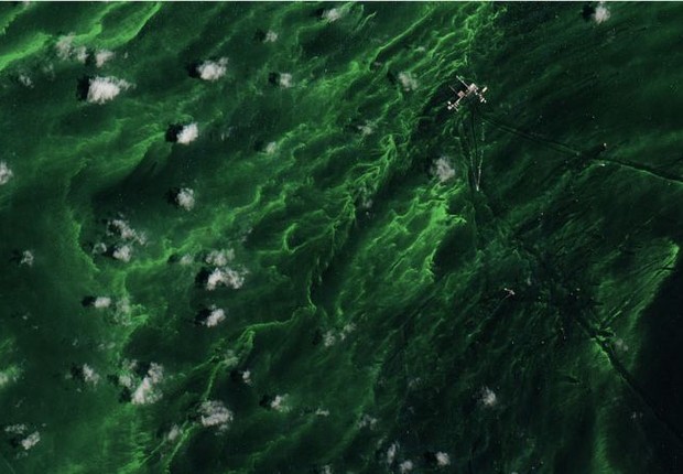 Cor verde reflete presença de algas (Foto: NASA EARTH OBSERVATORY via BBC)