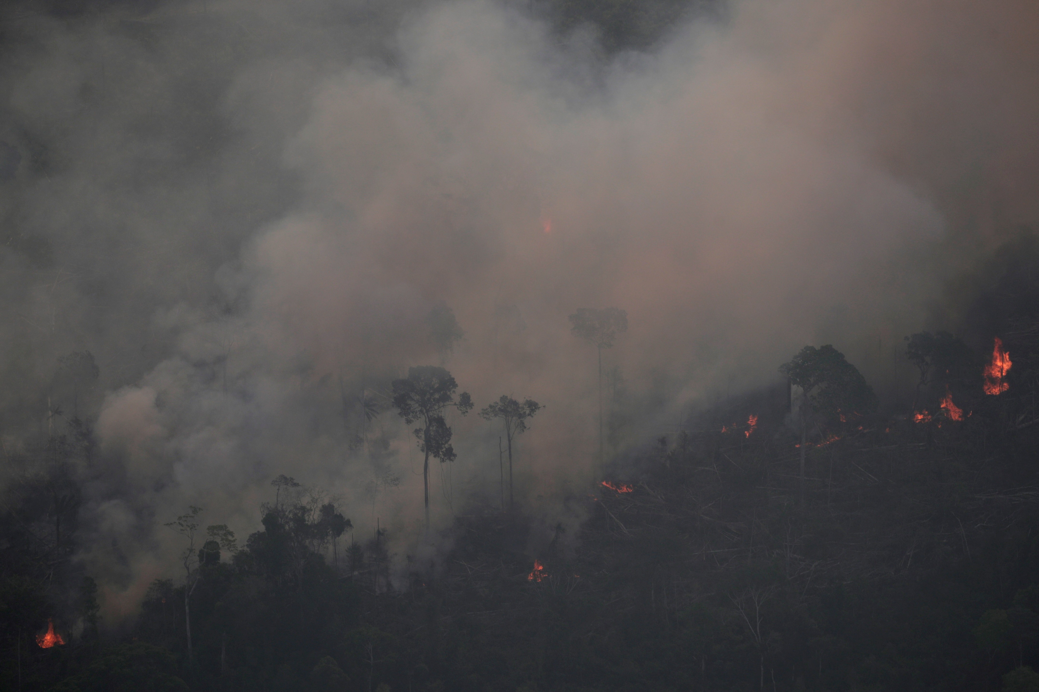 Fogo na floresta amazônica perto de Porto Velho, Rondônia (Foto: REUTERS/Ueslei Marcelino)