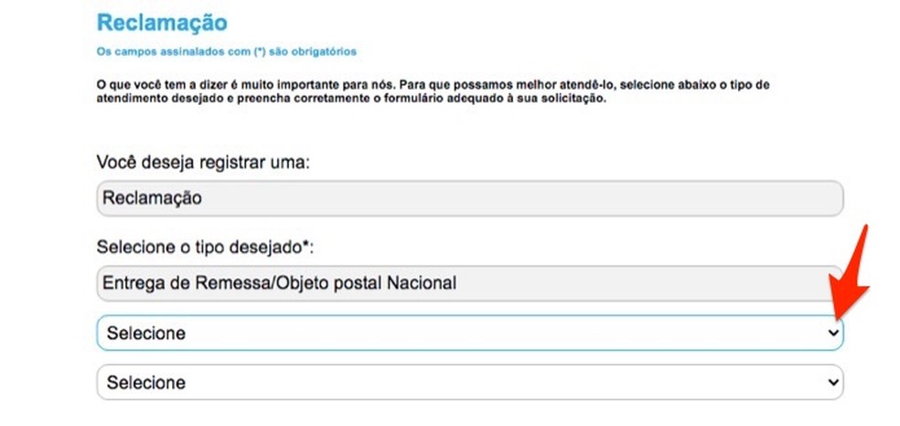 Entrega atrasada nos Correios: é preciso clicar na caixa de seleção para prosseguir com a reclamação — Foto: Reprodução/Marvin Costa