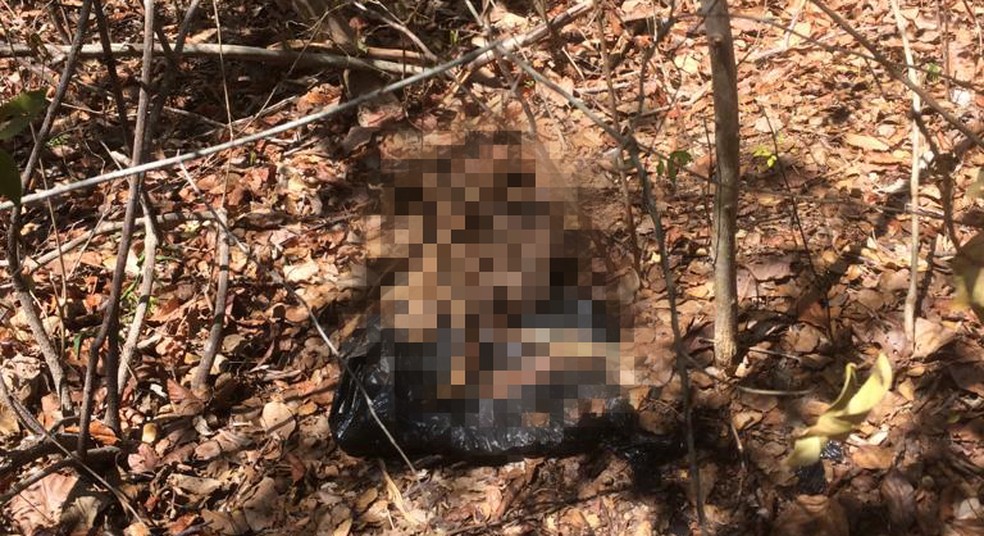 Ossada humana é encontrada dentro de saco em Parnaíba, Litoral do Piauí — Foto: Divulgação/Polícia Militar