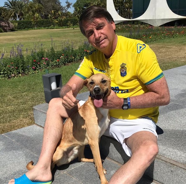 Jair Bolsonaro com cachorro Nestor no Palácio da Alvorada  — Foto: Reprodução/Instagram 