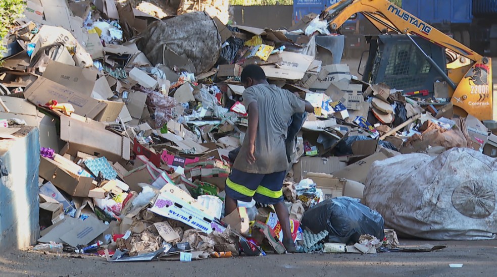 Com aumento do desemprego, principal fonte de renda dos catadores é no lixo — Foto: Arquivo pessoal