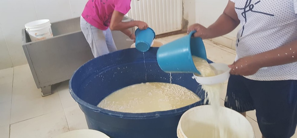Funcionários não utilizavam equipamentos de proteção individual e higiene para fabricar queijo em São José do Divino-PI — Foto: Divulgação/Procon-PI