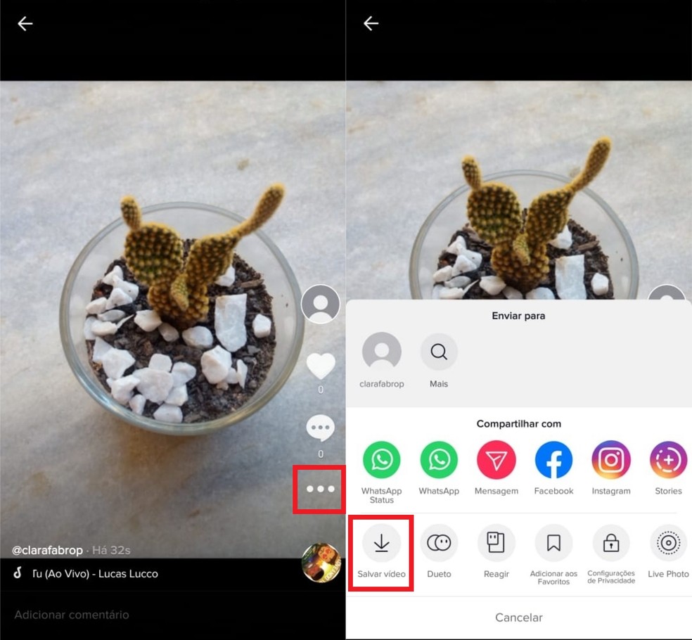 Salve o vídeo e faça download do seu clipe para repostá-lo no TikTok — Foto: Reprodução/Clara Fabro