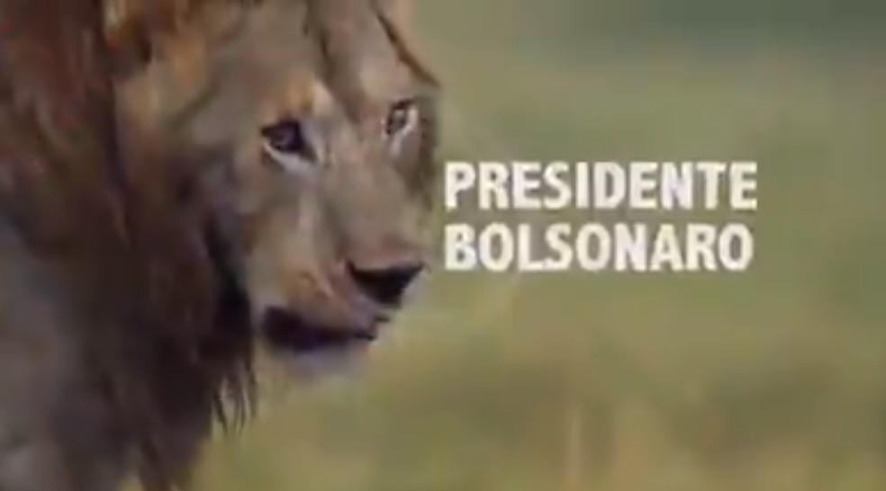 Trecho do vídeo que mostra Bolsonaro sendo perseguido por hienas — Foto: Reprodução/Twitter