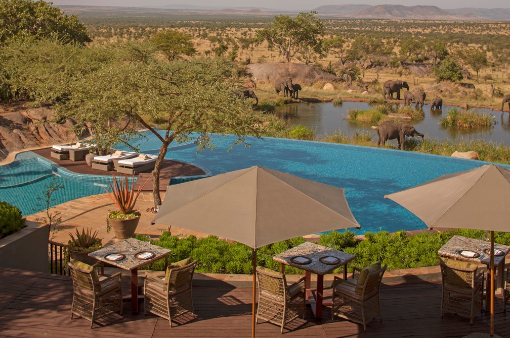 Vista da piscina do resort Four Seasons Serengeti com elefantes passando ao fundo — Foto: Four Seasons/Divulgação