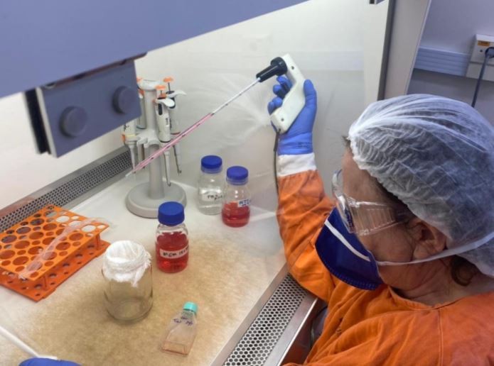 Experimentos foram feitos no Instituto de Medicina Tropical da USP com plasma sanguíneo de 60 voluntários infectados em 2020 pela linhagem B.1.1.28 do SARS-CoV-2. Em 84% dos casos, os anticorpos presentes nas amostras foram capazes de neutralizar a nova variante em culturas celulares  (Foto: Acervo dos pesquisadores)