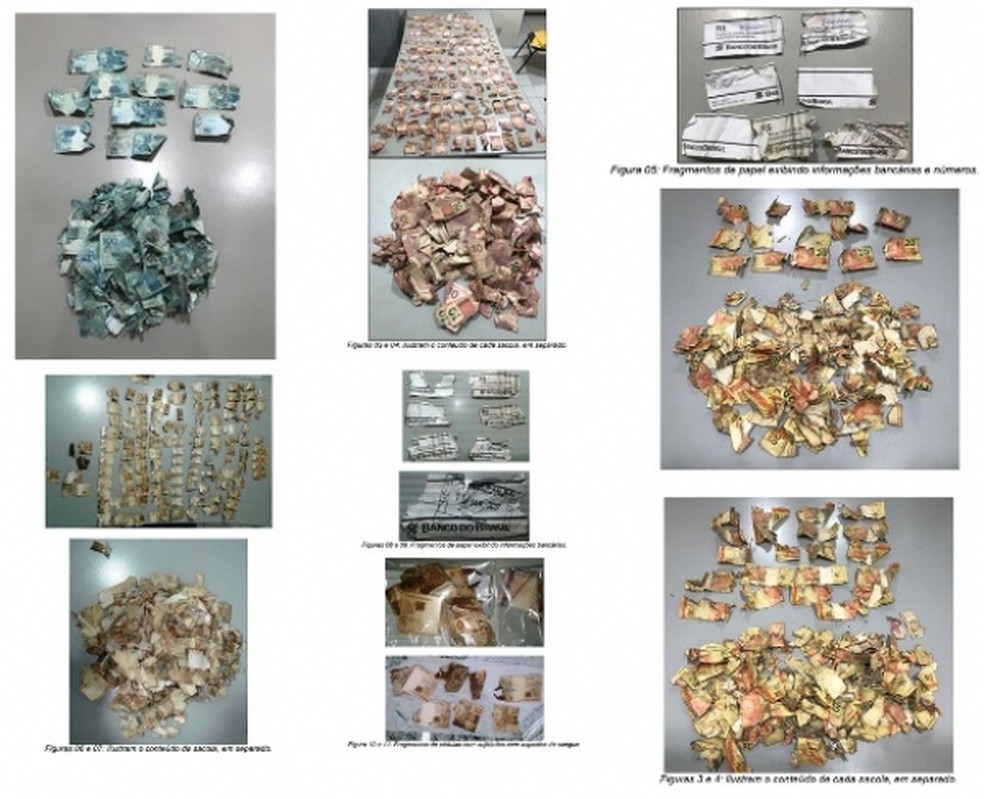Perícia alagoana analisou mais de mil fragmentos de cédulas apreendidas no interior do estado no ano passado (Foto: IC-AL/Divulgação)