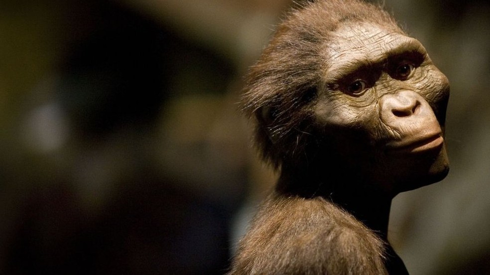Reprodução do que viria a ser Lucy, da espécie de Australopithecus afarensis — Foto: Getty Images