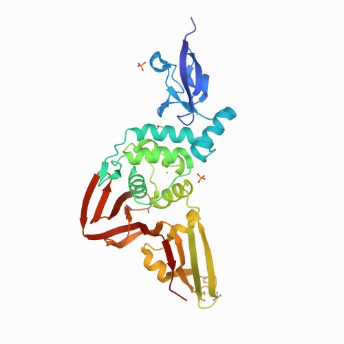 Estrutura cristalina da enzima PLpro (Foto: IUPHAR/BPS Guide to Pharmacology )