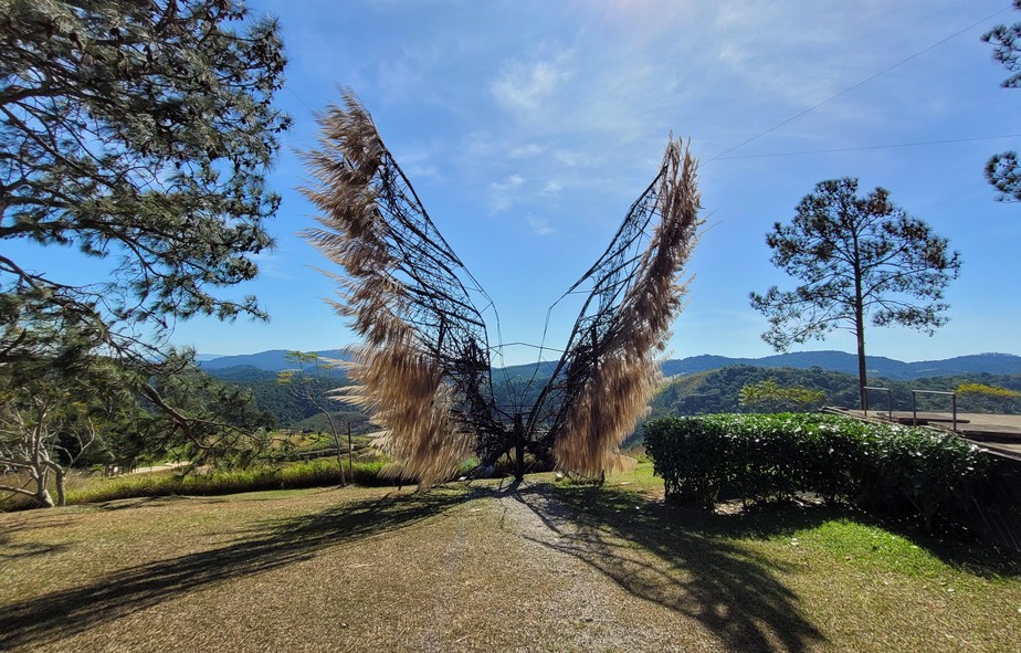 Girassóis, asas e ‘likes’ no Instagram: como aproveitar o inverno no jardim Uaná Etê, no interior do Estado do Rio