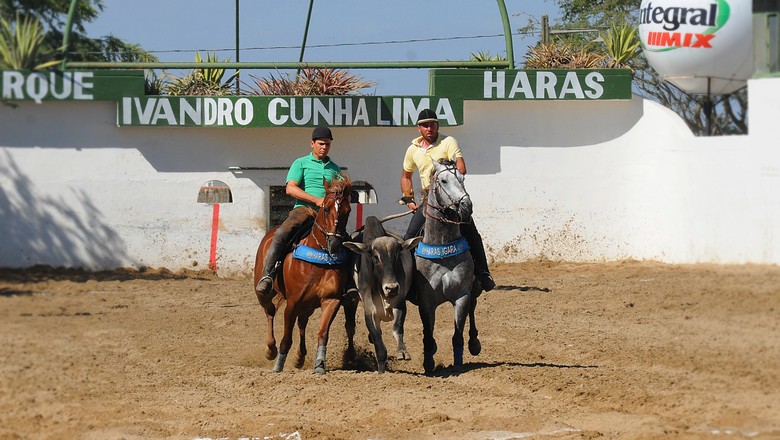 quarto-de-milha-abqm-cavalos-paraiba (Foto: Divulgação Aluíso Alves/ABQM)