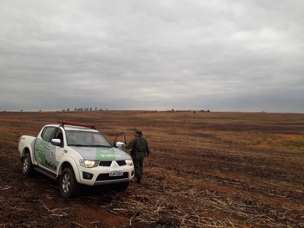 No total, policiais identificaram que quase 150 alqueires de cultiva de cana-de-açúcar foram atingidos pelas chamas — Foto: Polícia Ambiental/Divulgação