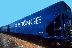 Trem de carga da Bunge (Foto: Divulgação)