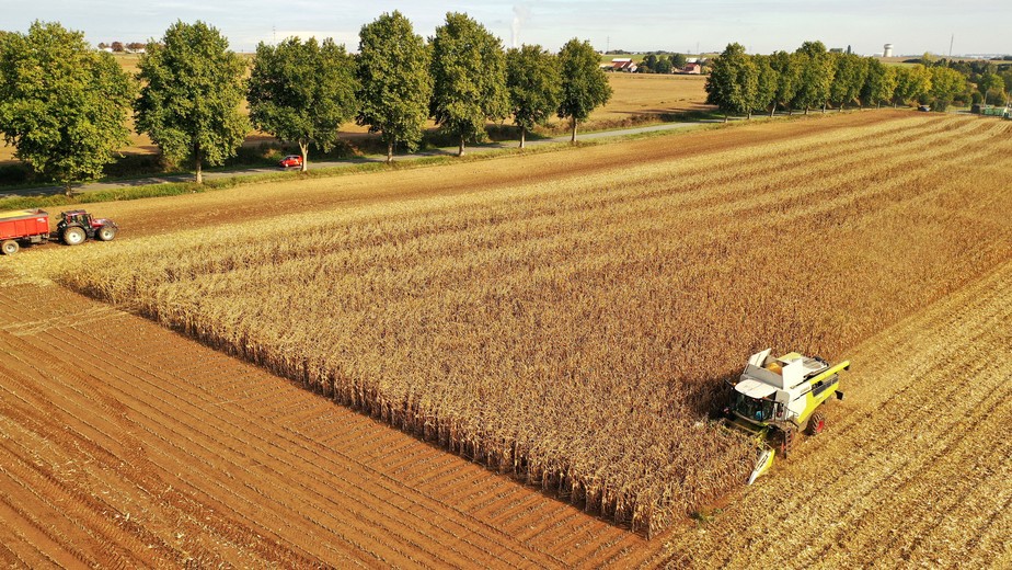 Colheita de milho em lavoura na França