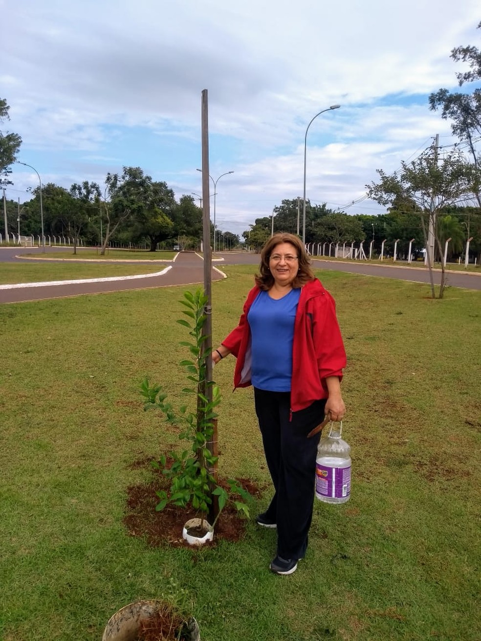 Um dos dias em que aposentada levou mudas e fez plantio em avenida de MS — Foto: Edineti Silva/Arquivo Pessoal 