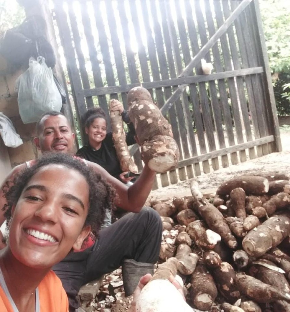 Família de agricultores colhe mandioca gigante de 1,5 metro em cidade da Bahia — Foto: Arquivo Pessoal